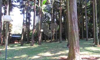 Imagem 7: A incrível Chácara Flora