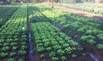 Imagem 6: Fazenda/Sítio/Chácara para venda tem 20000 metros quadrados com 5 quartos