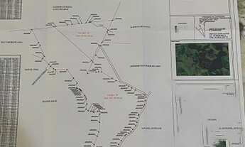 Imagem: Area com Eucaliptos em Tuiuti - SP