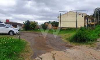 Imagem 3: Terreno Rondônia Novo Hamburgo