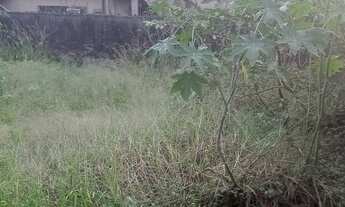 Imagem 2: Vendo terreno Manilha