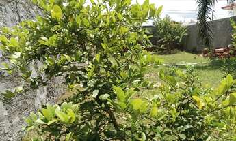 Imagem 7: Casa Balneário Florida em Peruíbe, 150m da Praia, Isolada, Terreno 364m2, 3 dormitórios, 1