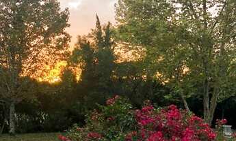 Imagem 3: Fazenda/Sítio/Chácara para venda tem 150 metros quadrados com 3 quartos