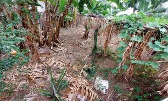 Imagem 4: Terreno - Jardim Eulina - Campinas