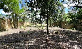 Imagem 7: Vende-se Terreno em Marituba