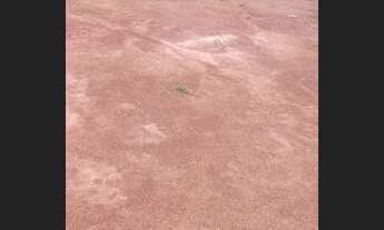 Imagem 5: Vendo terreno chácara/sítio