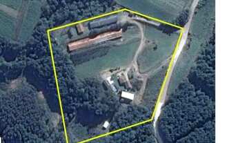 Imagem 2: Chácara em Mandirituba. Com 60.000m²