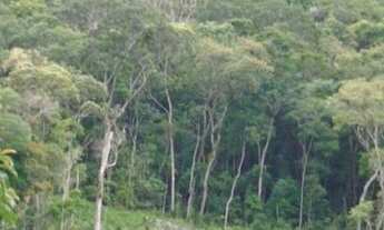 Imagem: Terreno para Venda em Nova Friburgo, MURY