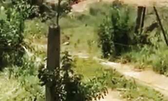 Imagem 6: Chácaras NEW YORK 12KM RIO PARANAÍBA MG