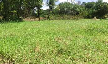 Imagem 4: Vendo Sítio de 1 Hectare em Horizonte(CE) - Oportunidade!