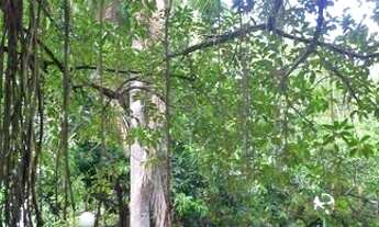 Imagem: Melhor 2 quartos nos Aflitos !