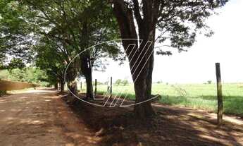 Imagem 4: área - Vila Hollândia - Campinas