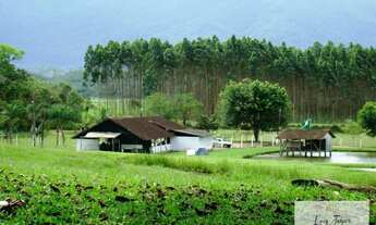 Imagem 3: Fazenda à venda Três Barras - Garuva/SC