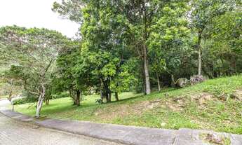 Imagem: FLORIANóPOLIS - Terreno Padrão - Córrego