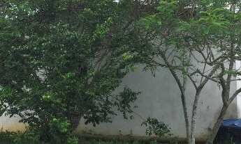 Imagem 7: Sítio em Itapetinga, oportunidade!!!