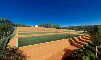 Imagem 2: Lote de area rural a venda