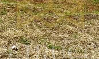 Imagem: Terreno - Terras de Santa Bárbara - Santa