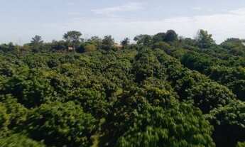 Imagem 2: Sítio com 5 dormitórios à venda, 241100 m² por R$ 8.000.000 - Centro - Porto Feliz/SP