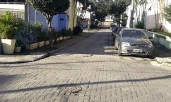 Imagem 2: Pomar do mendnha