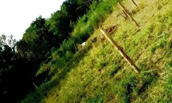 Imagem 4: TERRENO DE 800M2,DISTRITO DE SANTA TEREZINHA,VIVENDAS BELA VISTA