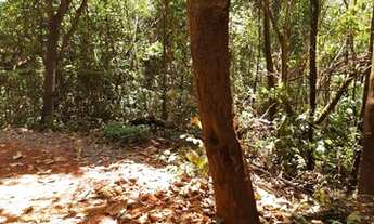 Imagem 6: Terreno à venda, 7927 m² por R$ 911.605,00 - São Sebastião das Águas Claras - Nova Lima/MG