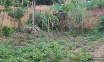 Imagem 5: Casa mata de são joao