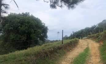 Imagem 2: Terreno a venda em Gamboinha, Paulo Lopes