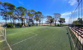 Imagem 3: ÓTIMA CHÁCARA À VENDA EM APUCARANA