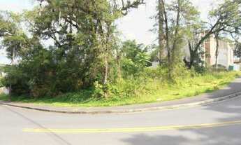 Imagem: Terreno para Venda em Quatro Barras, Jardim