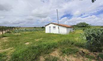 Imagem 4: Propriedade rural em Tangará/RN - 100 hectares