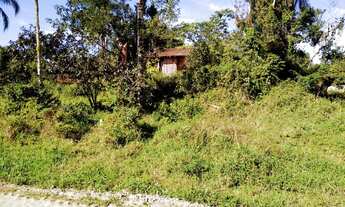 Imagem 4: Excelente terreno muito bem localizado no Bairro Costeira em Balneário Barra do Sul