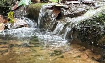 Imagem: Linda chácara com Riacho cortando á propriedade