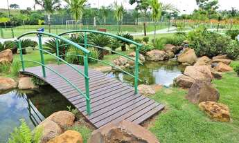 Imagem 6: RIBEIRãO PRETO - Loteamento/Condomínio - Residencial E Empresarial Alphaville