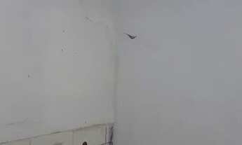 Imagem 2: Barracão com vaga pra carro próximo a avenida Rio Verde