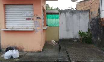 Imagem 5: Vendo casa em Manaus