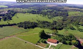 Imagem 6: Fazenda 25,5 alqueires próximo a Alexânia GO.(Corumbá de Goiás