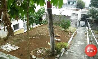 Imagem 2: São Paulo - Terreno Padrão - Água Rasa