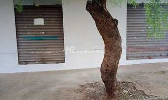 Imagem 7: Aluguel Comodo SEGISMUNDO PEREIRA