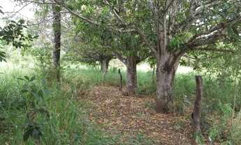 Imagem 5: Chácaras 1.000m² as margens do rio Cipó, com água e luz (Temos varias opções)