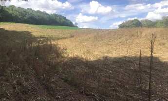 Imagem 4: Terreno / Área em São Bento do Sul