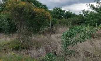 Imagem 4: Terreno para chacara