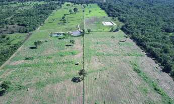 Imagem 3: Sítio c/ 25he escriturado, 100% formado e plaino, Cuiabá-MT