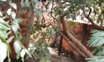 Imagem 6: Vendo casa na estrutural