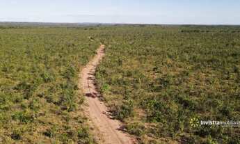 Imagem 6: Fazendas em Tocantins