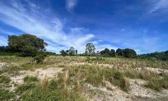 Imagem 1: Galpão Manaus - Terreno - 10.000 m² - AM 010