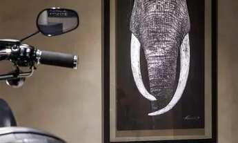 Imagem 5: Apartamento para venda 322 M², 3 dormitórios, 3 suítes, 5 vagas no bairro da Vila Olímpia