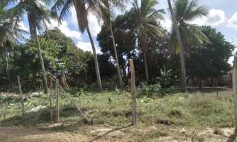 Imagem 2: Vende-se terreno no Comum, Extremoz - 25m por 500m