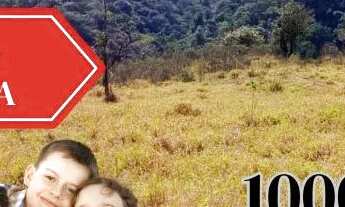 Imagem: C- Lindos lotes