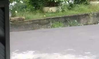 Imagem 4: Ótima casa Casa com 3 dormitórios