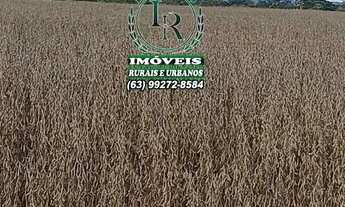 Imagem: Fazenda Plantando 213 Alqueires